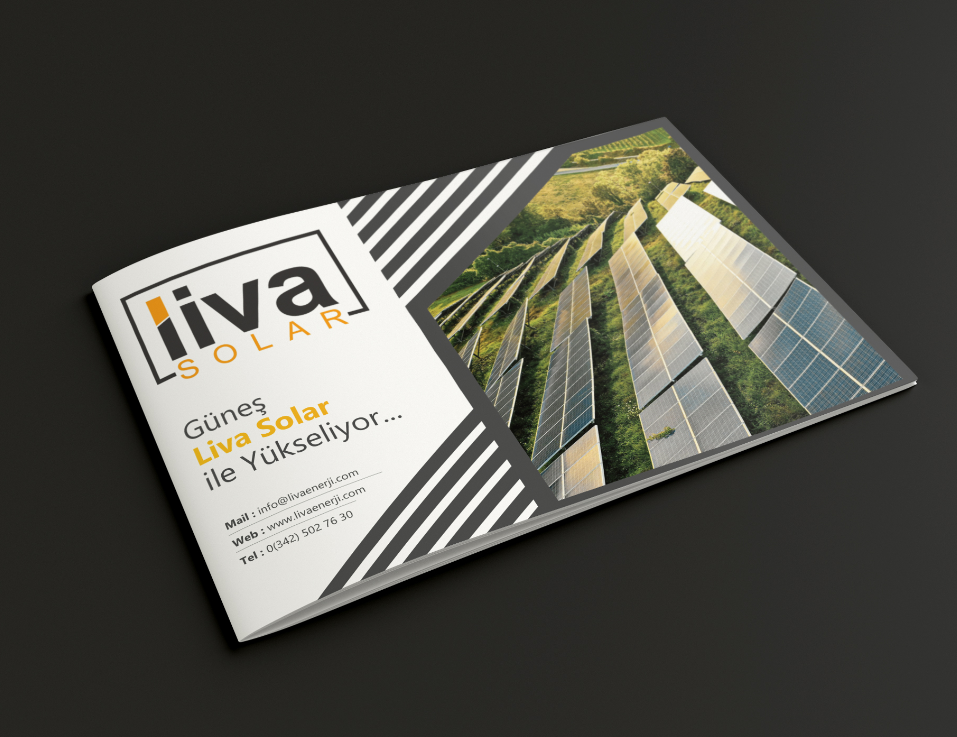 Liva Energy görseli 17