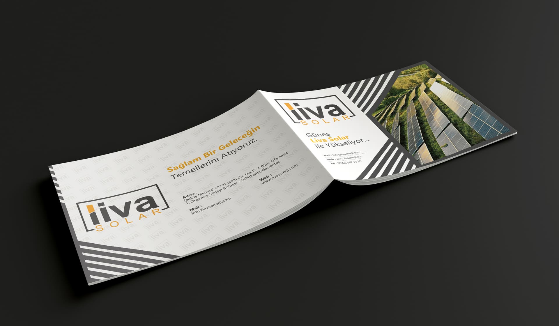 Liva Energy görseli 35