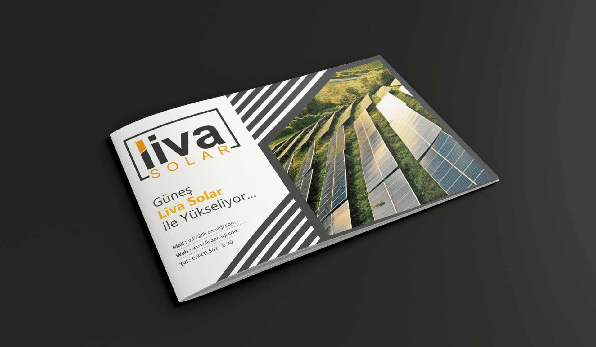 Liva Energy görseli 34