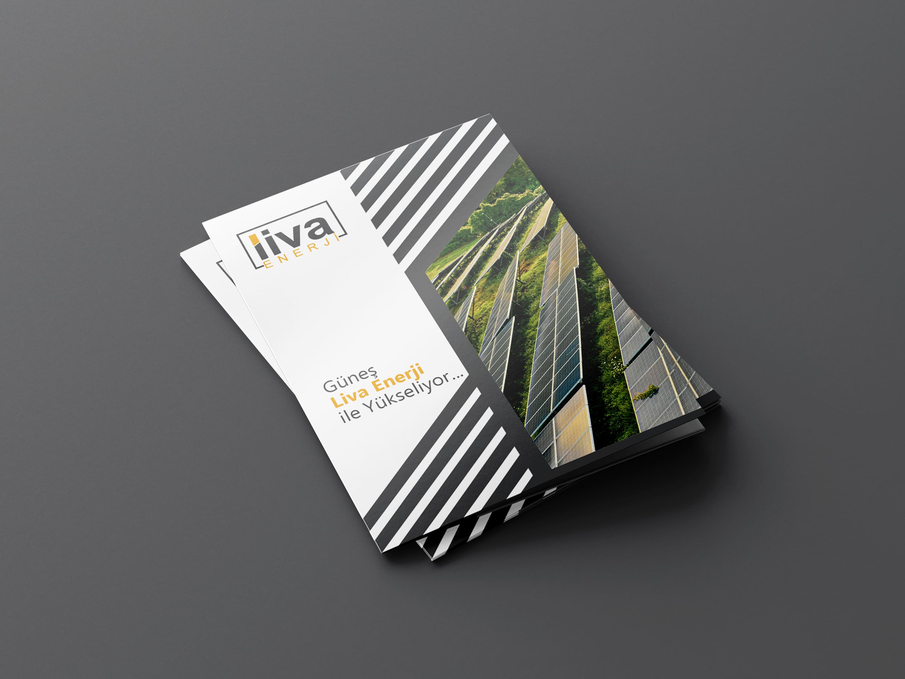 Liva Energy görseli 26
