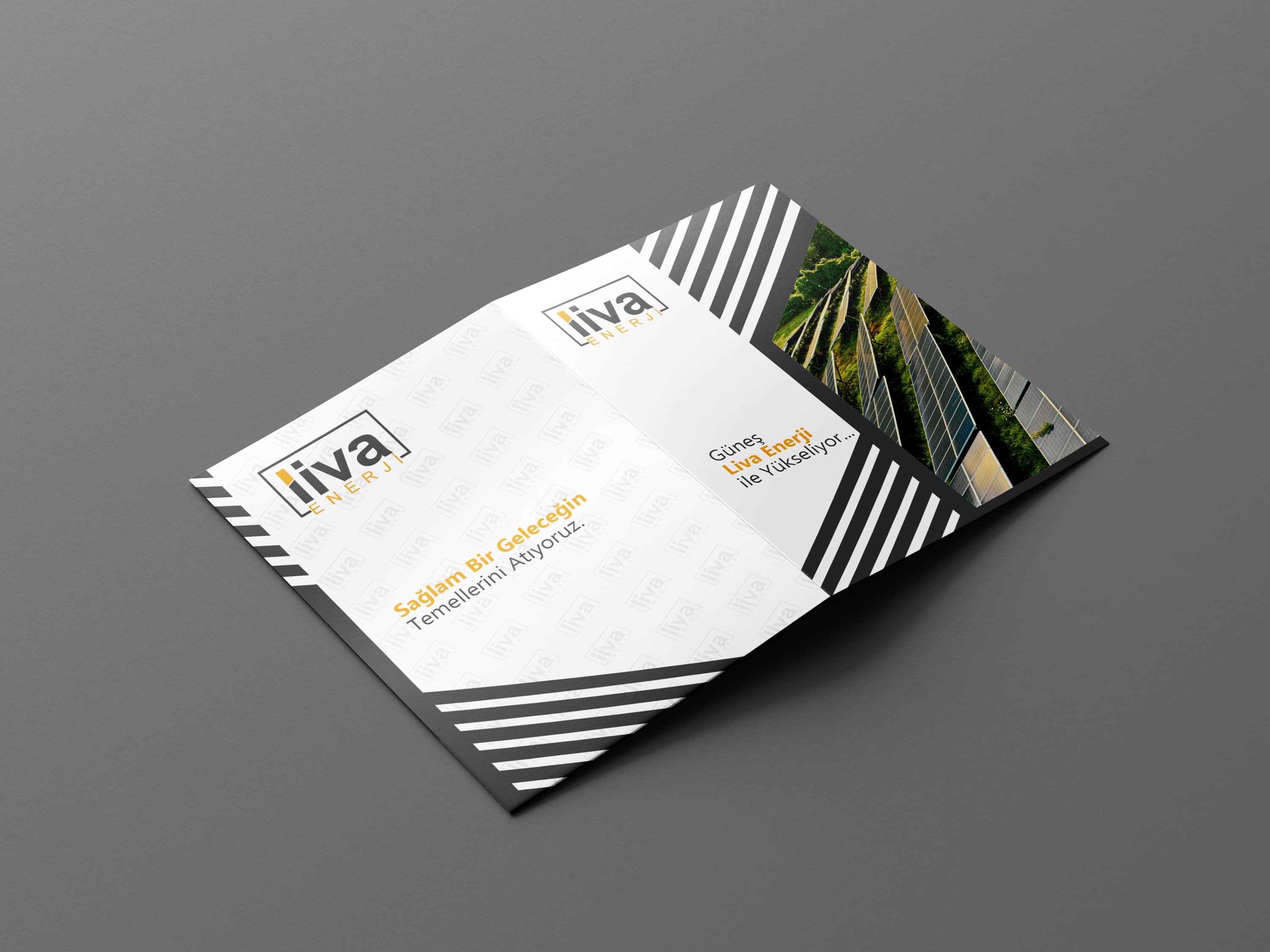 Liva Energy görseli 24